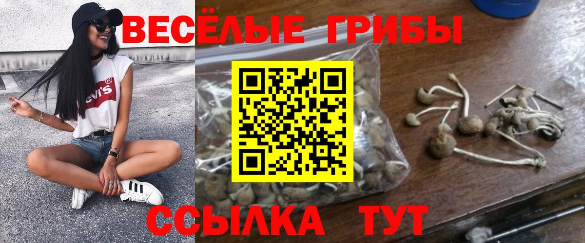 Галлюциногенные грибы прущие грибы  Псилоцибиновые грибы прущие грибы  Вход с VPN  Клинцы 
