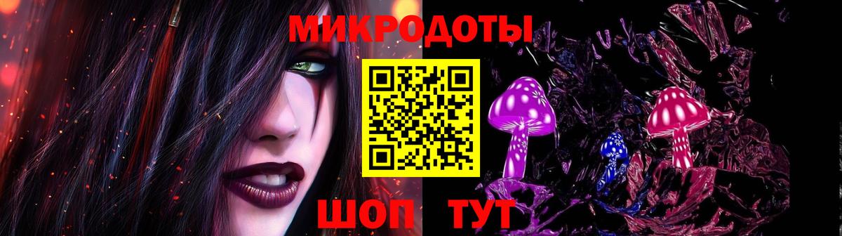 Псилоцибиновые грибы Psilocybine cubensis Клинцы